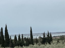 271-20-01-2026 IMG_3491